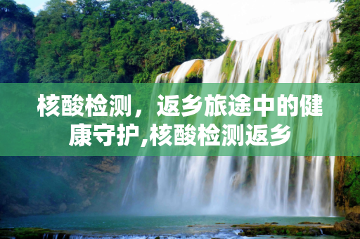 核酸检测，返乡旅途中的健康守护,核酸检测返乡