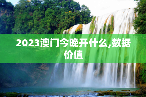 2023澳门今晚开什么,数据价值