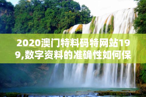 2020澳门特料码特网站199,数字资料的准确性如何保证？