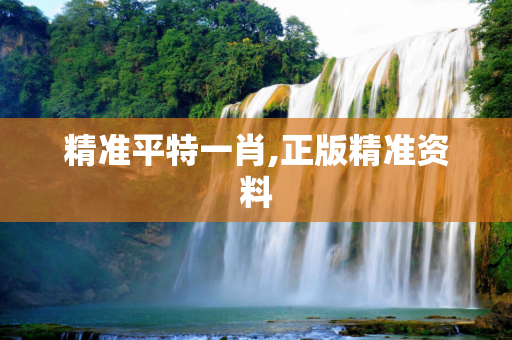 精准平特一肖,正版精准资料