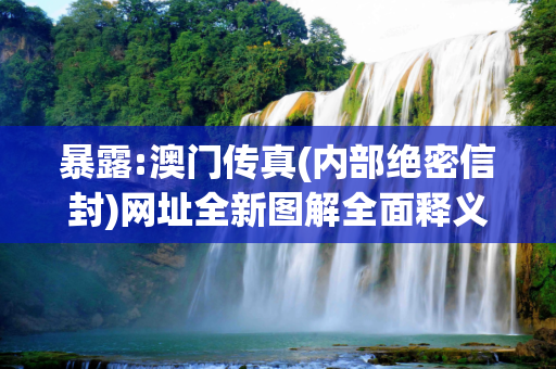 暴露:澳门传真(内部绝密信封)网址全新图解全面释义、解释与落实