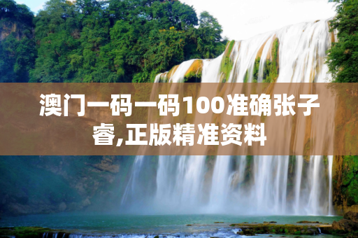 澳门一码一码100准确张子睿,正版精准资料