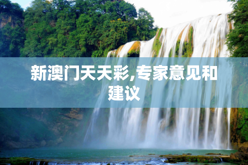 新澳门天天彩,专家意见和建议