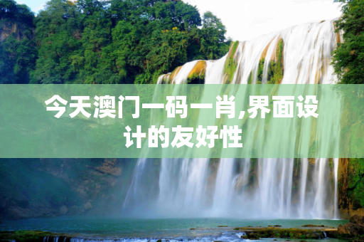 今天澳门一码一肖,界面设计的友好性