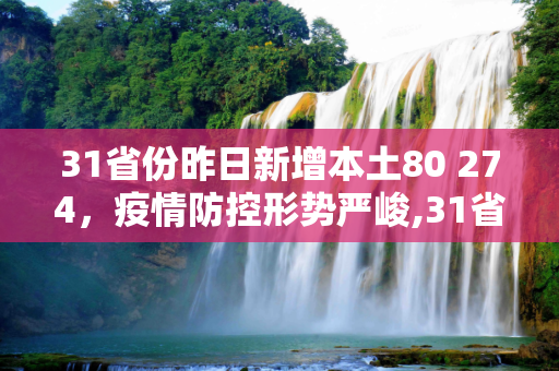 31省份昨日新增本土80 274，疫情防控形势严峻,31省份昨日新增本土80 274