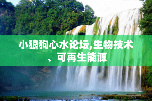 热点资讯 第504页
