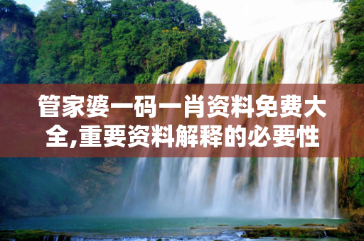 管家婆一码一肖资料免费大全,重要资料解释的必要性