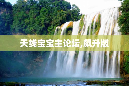 天线宝宝主论坛,飙升版