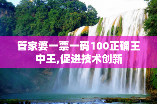 管家婆一票一码100正确王中王,促进技术创新