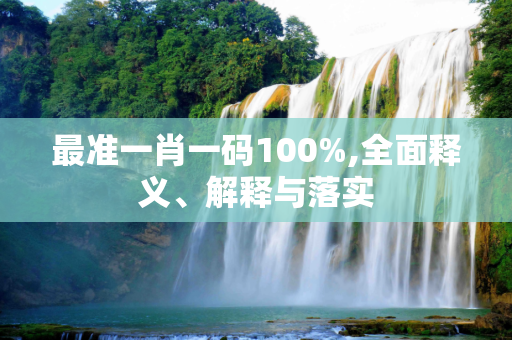 最准一肖一码100%,全面释义、解释与落实