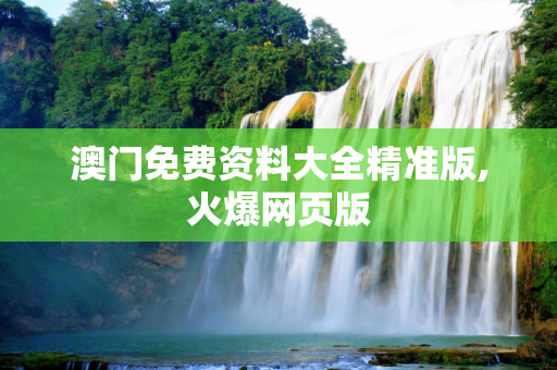 澳门免费资料大全精准版,火爆网页版