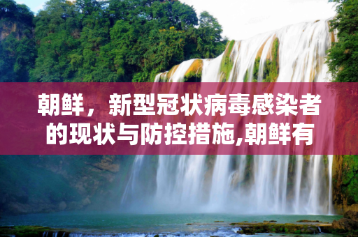 朝鲜，新型冠状病毒感染者的现状与防控措施,朝鲜有新型冠状病毒感染者吗
