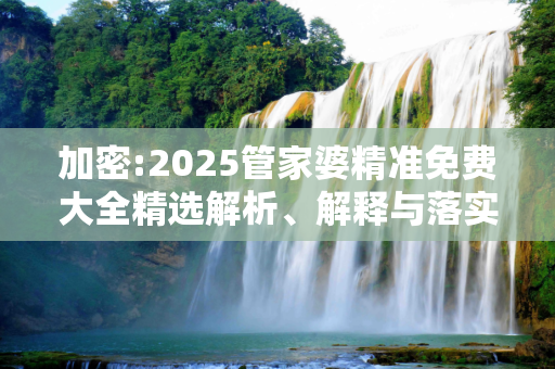 加密:2025管家婆精准免费大全精选解析、解释与落实