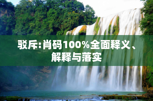 驳斥:肖码100%全面释义、解释与落实