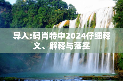 导入:码肖特中2024仔细释义、解释与落实