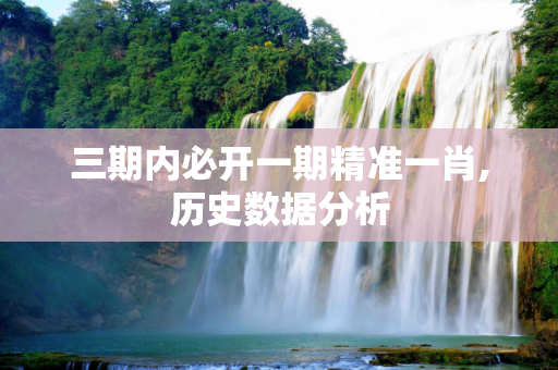 三期内必开一期精准一肖,历史数据分析