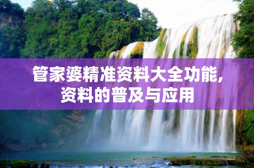 管家婆精准资料大全功能,资料的普及与应用