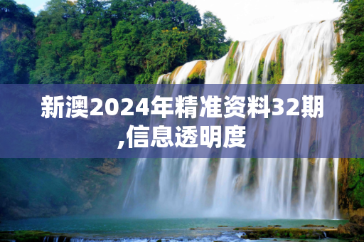 新澳2024年精准资料32期,信息透明度