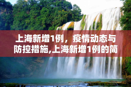上海新增1例，疫情动态与防控措施,上海新增1例的简单介绍