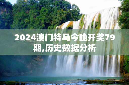 2024澳门特马今晚开奖79期,历史数据分析