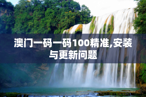 澳门一码一码100精准,安装与更新问题