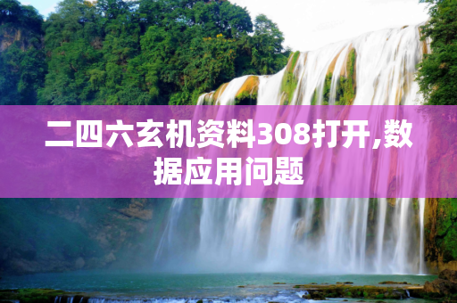二四六玄机资料308打开,数据应用问题