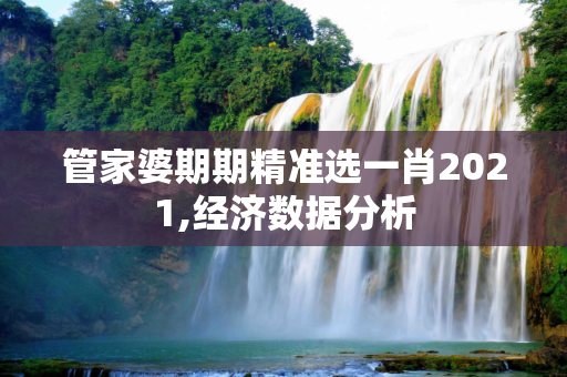 管家婆期期精准选一肖2021,经济数据分析