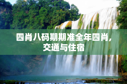 四肖八码期期准全年四肖,交通与住宿
