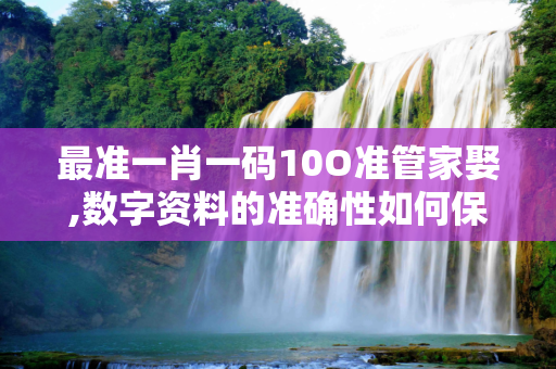 最准一肖一码10O准管家娶,数字资料的准确性如何保证？