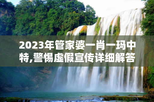 2023年管家婆一肖一玛中特,警惕虚假宣传详细解答、解释与落实