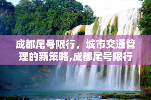 成都尾号限行，城市交通管理的新策略,成都尾号限行