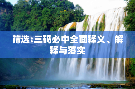 筛选:三码必中全面释义、解释与落实
