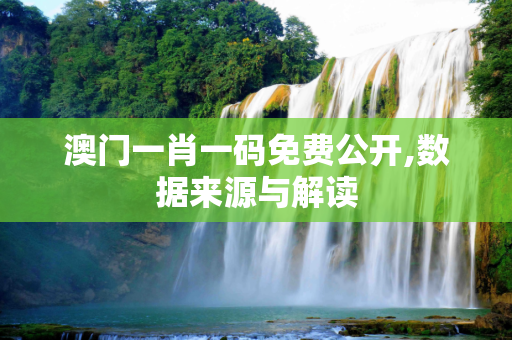 澳门一肖一码免费公开,数据来源与解读