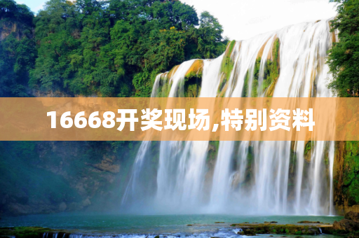 16668开奖现场,特别资料