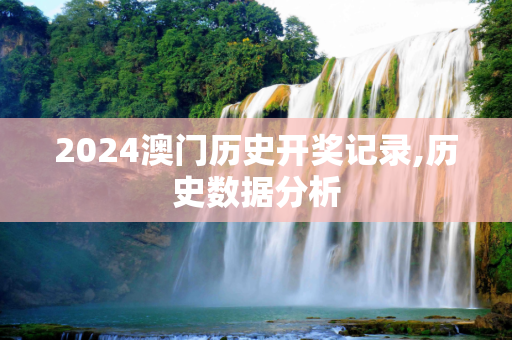 2024澳门历史开奖记录,历史数据分析