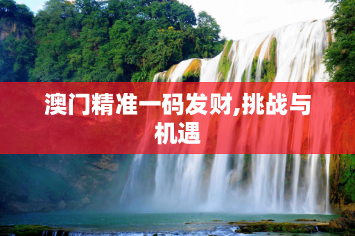 澳门精准一码发财,挑战与机遇
