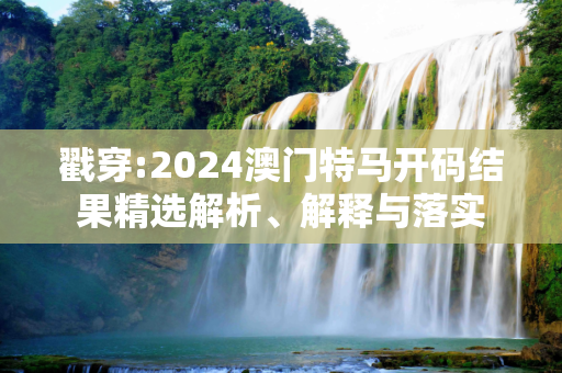 戳穿:2024澳门特马开码结果精选解析、解释与落实