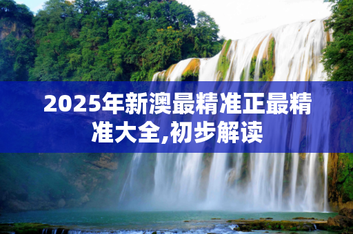 2025年新澳最精准正最精准大全,初步解读