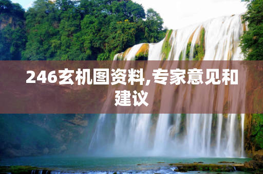 246玄机图资料,专家意见和建议