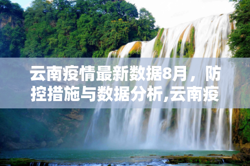 云南疫情最新数据8月，防控措施与数据分析,云南疫情最新数据8月