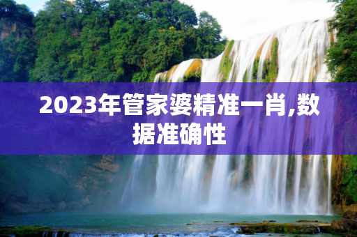 2023年管家婆精准一肖,数据准确性