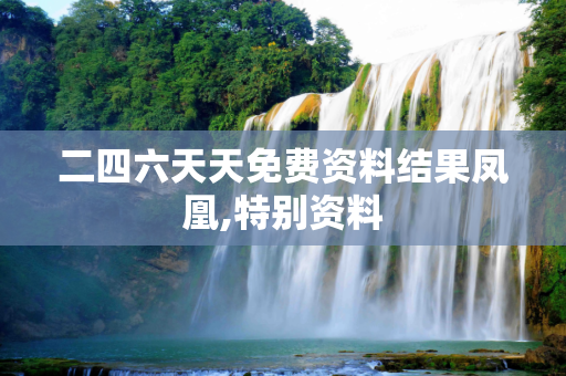 二四六天天免费资料结果凤凰,特别资料