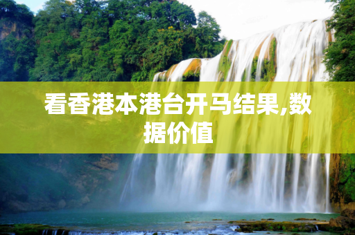 看香港本港台开马结果,数据价值
