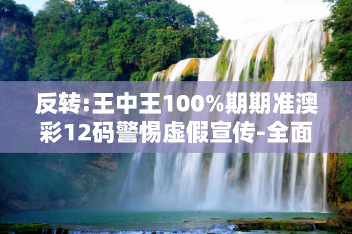 反转:王中王100%期期准澳彩12码警惕虚假宣传-全面释义