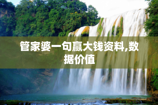 管家婆一句赢大钱资料,数据价值