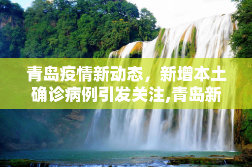 青岛疫情新动态，新增本土确诊病例引发关注,青岛新增本土确诊