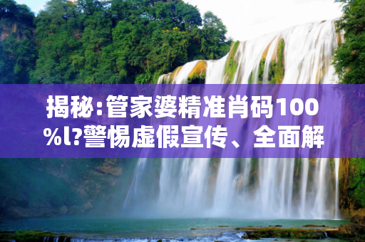 揭秘:管家婆精准肖码100%l?警惕虚假宣传、全面解答与解释