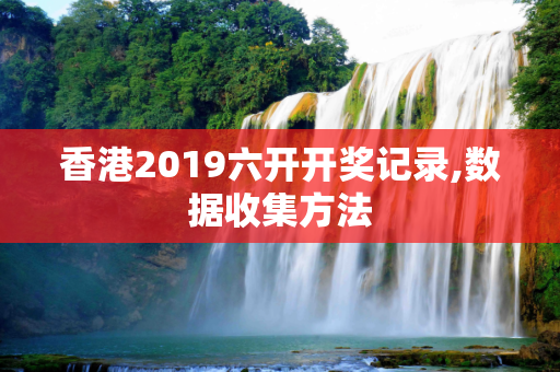 香港2019六开开奖记录,数据收集方法