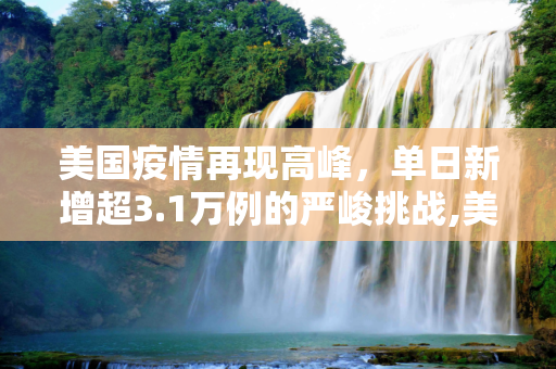 美国疫情再现高峰，单日新增超3.1万例的严峻挑战,美国单日新增超3.1万例