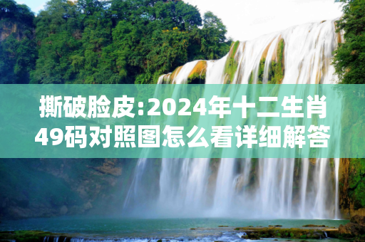 撕破脸皮:2024年十二生肖49码对照图怎么看详细解答、解释与落实